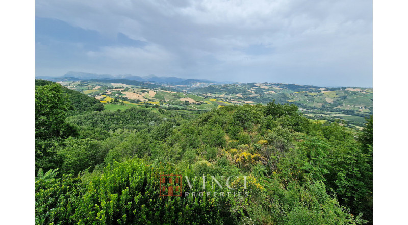 ***IN TRATTATIVA*** 7 camini