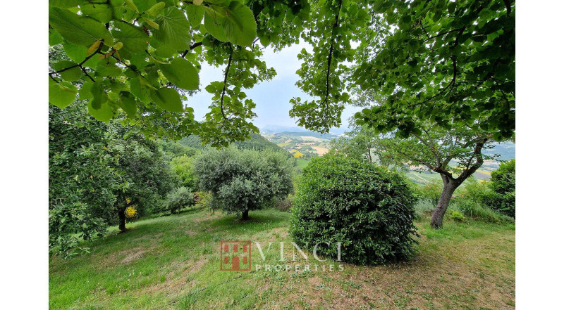 ***IN TRATTATIVA*** 7 camini