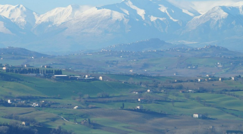 ***VENDUTO*** Casale con 7 camere, terreno biologico certificato