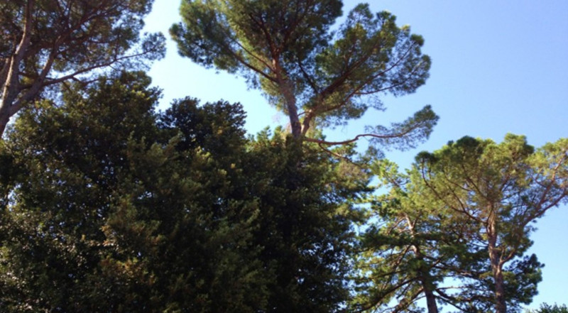 Villa storica ristrutturata in vendita a Treia