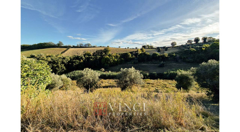 Casali Campofilone - VISTA MARE