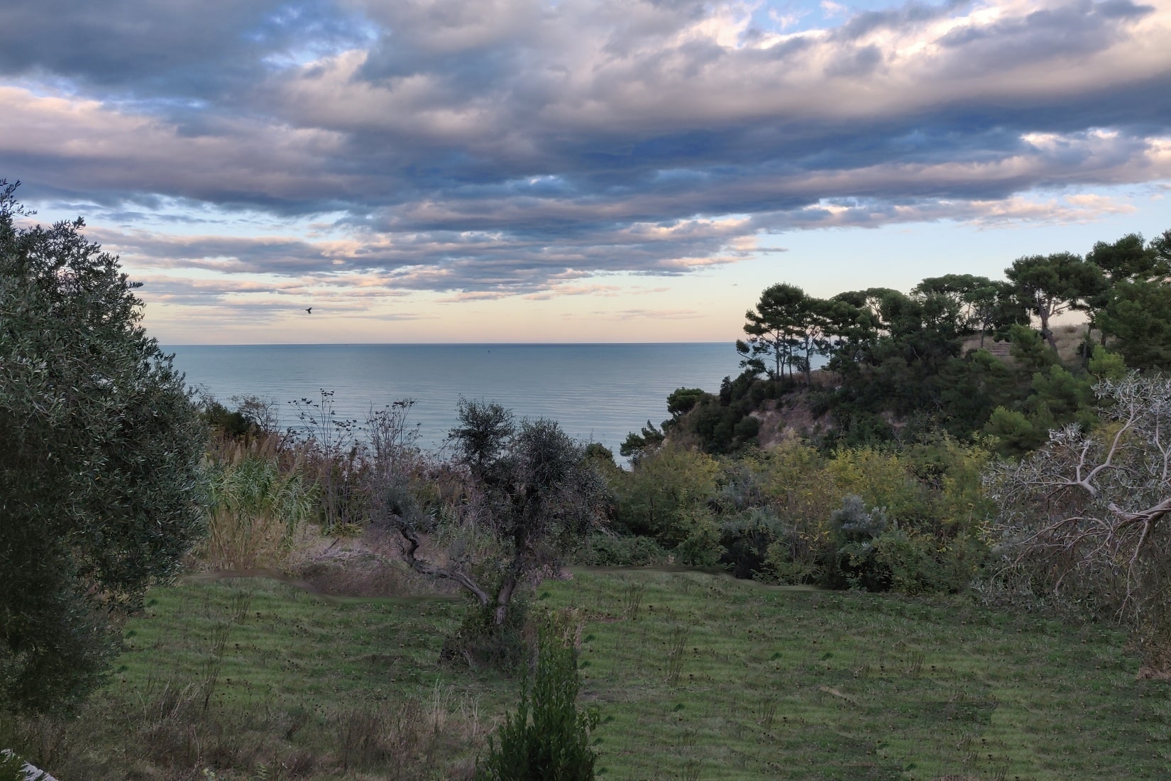 ***IN TRATTATIVA*** Cupra Marittima - Casale e terreno edificabile A PICCO SUL MARE