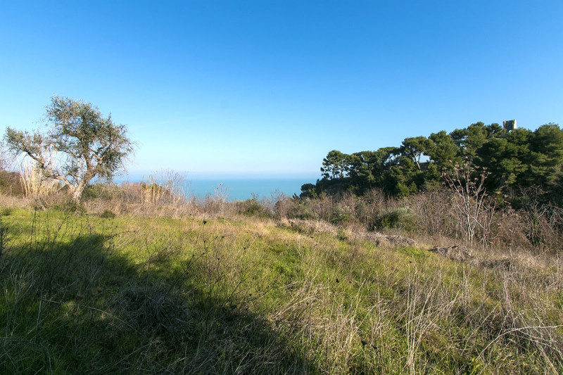 Cupra Marittima - casale e terreno edificabile vista mare