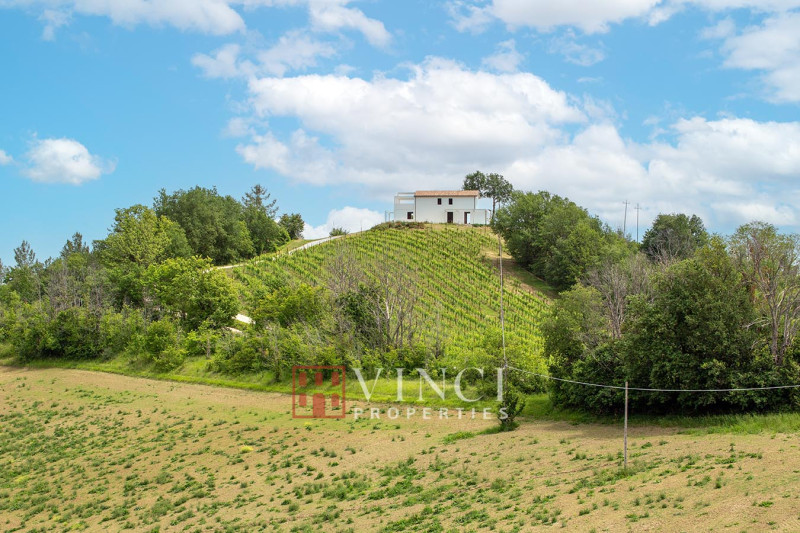 ***Prezzo Ridotto*** Il Pinnacolo
