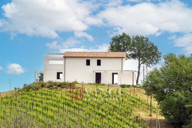 ***Prezzo Ridotto*** Il Pinnacolo