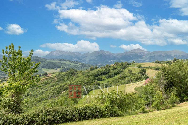 ***Prezzo Ridotto*** Il Pinnacolo