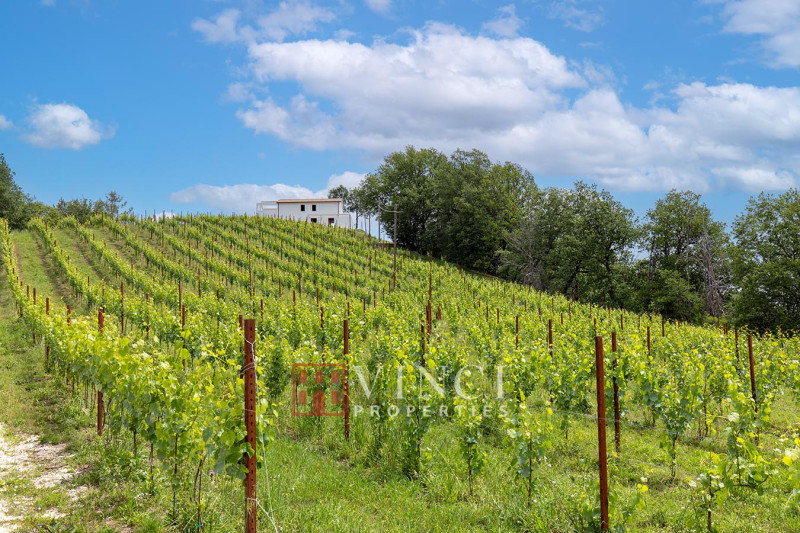 ***Prezzo Ridotto*** Il Pinnacolo