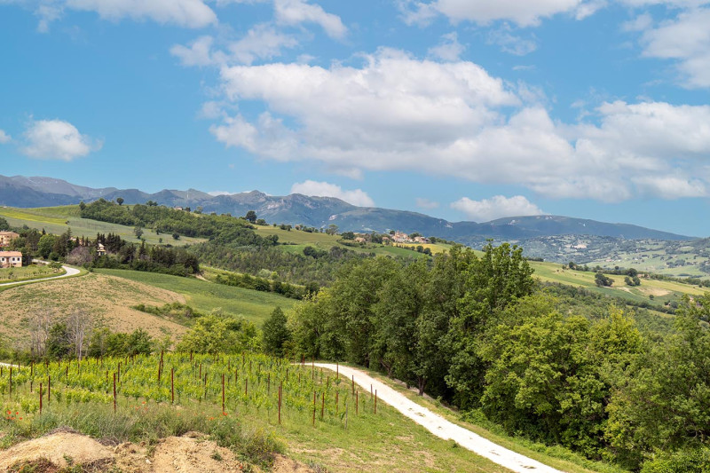 ***Prezzo Ridotto*** Il Pinnacolo