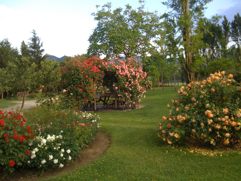 Casale Pietra Salara
