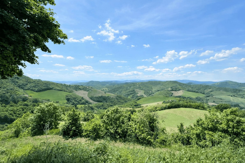 Casale/struttura ricettiva ristrutturato in vendita nelle Marche. PREZZO RIBASSATO