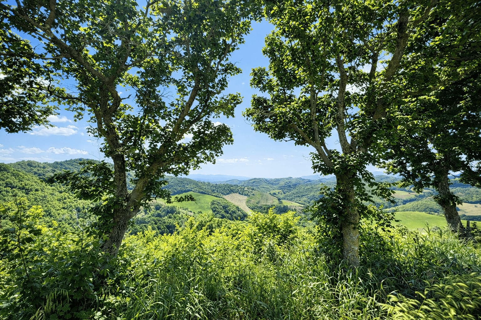 Casale/struttura ricettiva ristrutturato in vendita nelle Marche. PREZZO RIBASSATO