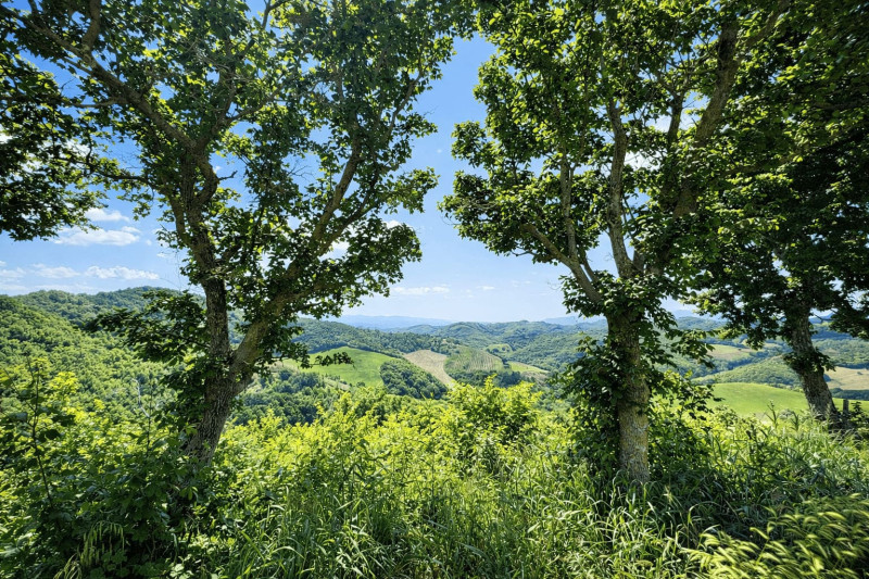 Casale/struttura ricettiva ristrutturato in vendita nelle Marche. PREZZO RIBASSATO