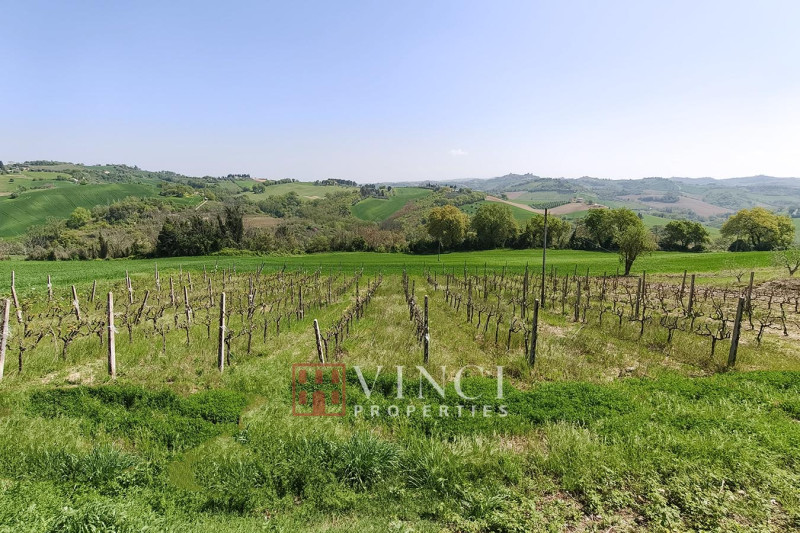 Agri Resort Montottone