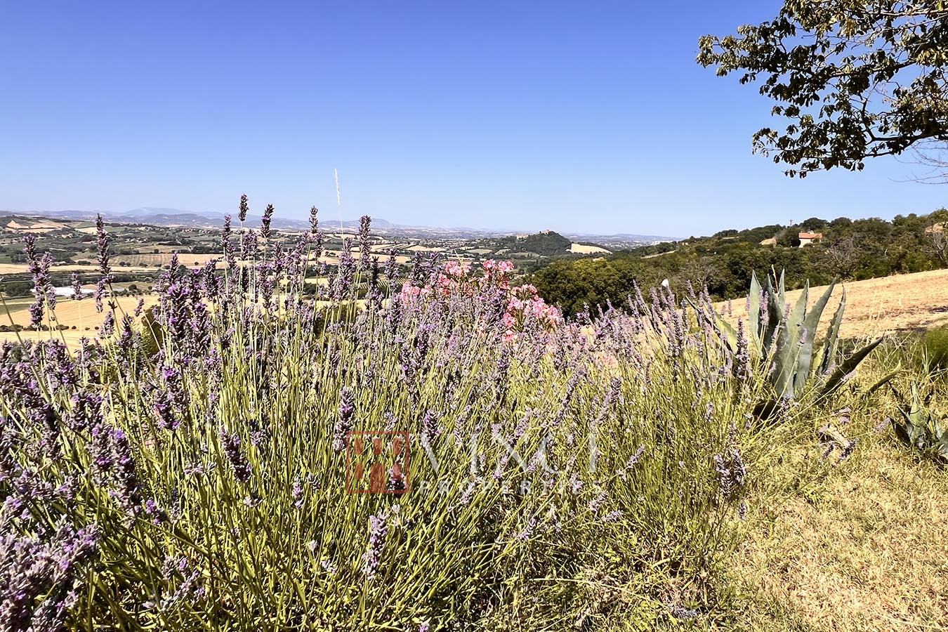 Casale Gradara