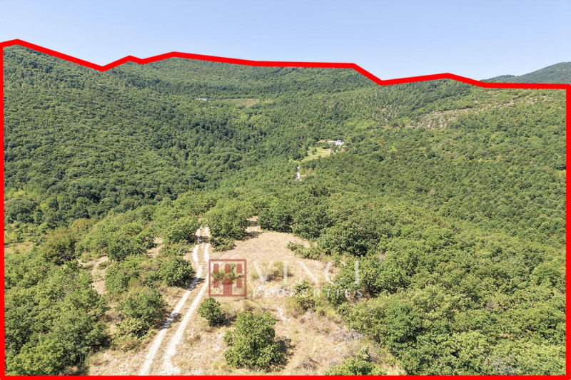 Tenuta Santa Lucia