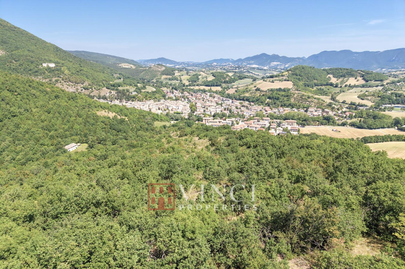 Tenuta Santa Lucia