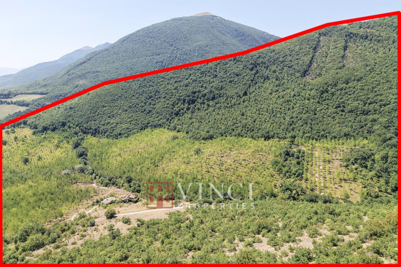Tenuta Santa Lucia