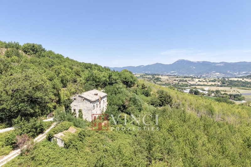 Tenuta Santa Lucia