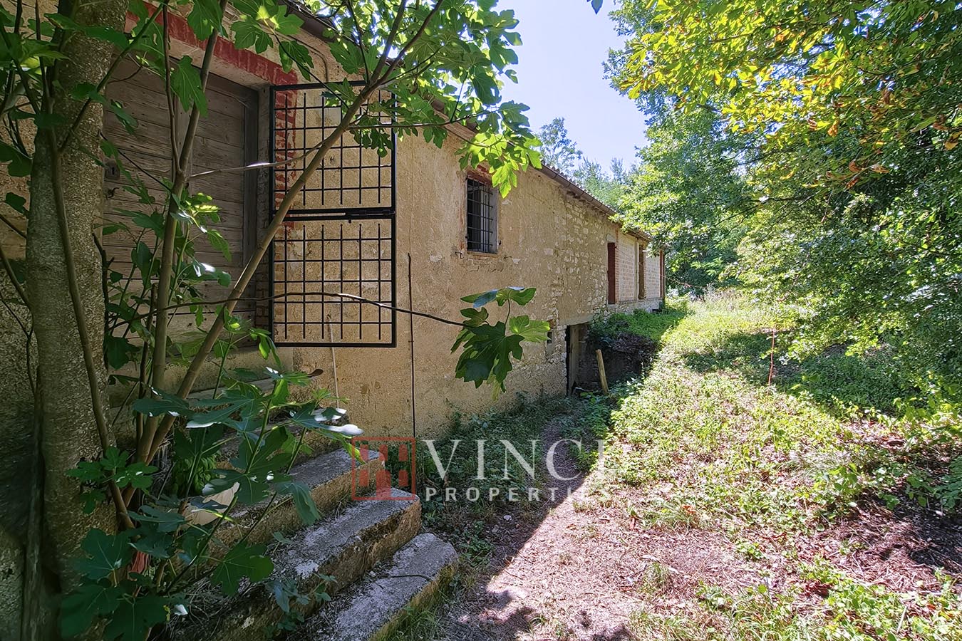 Tenuta Santa Lucia