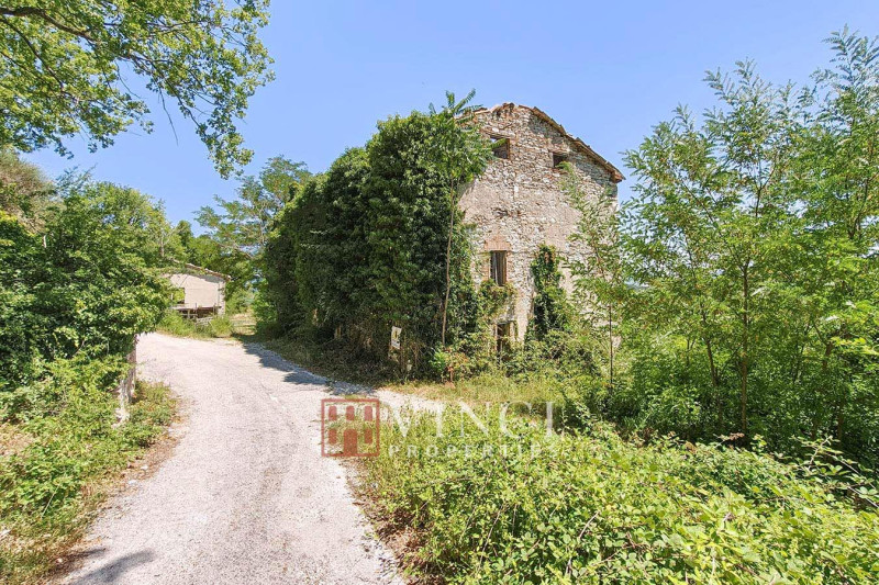 Tenuta Santa Lucia