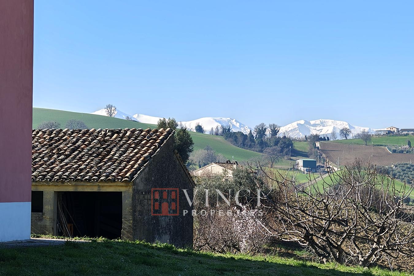 Casa Olivi