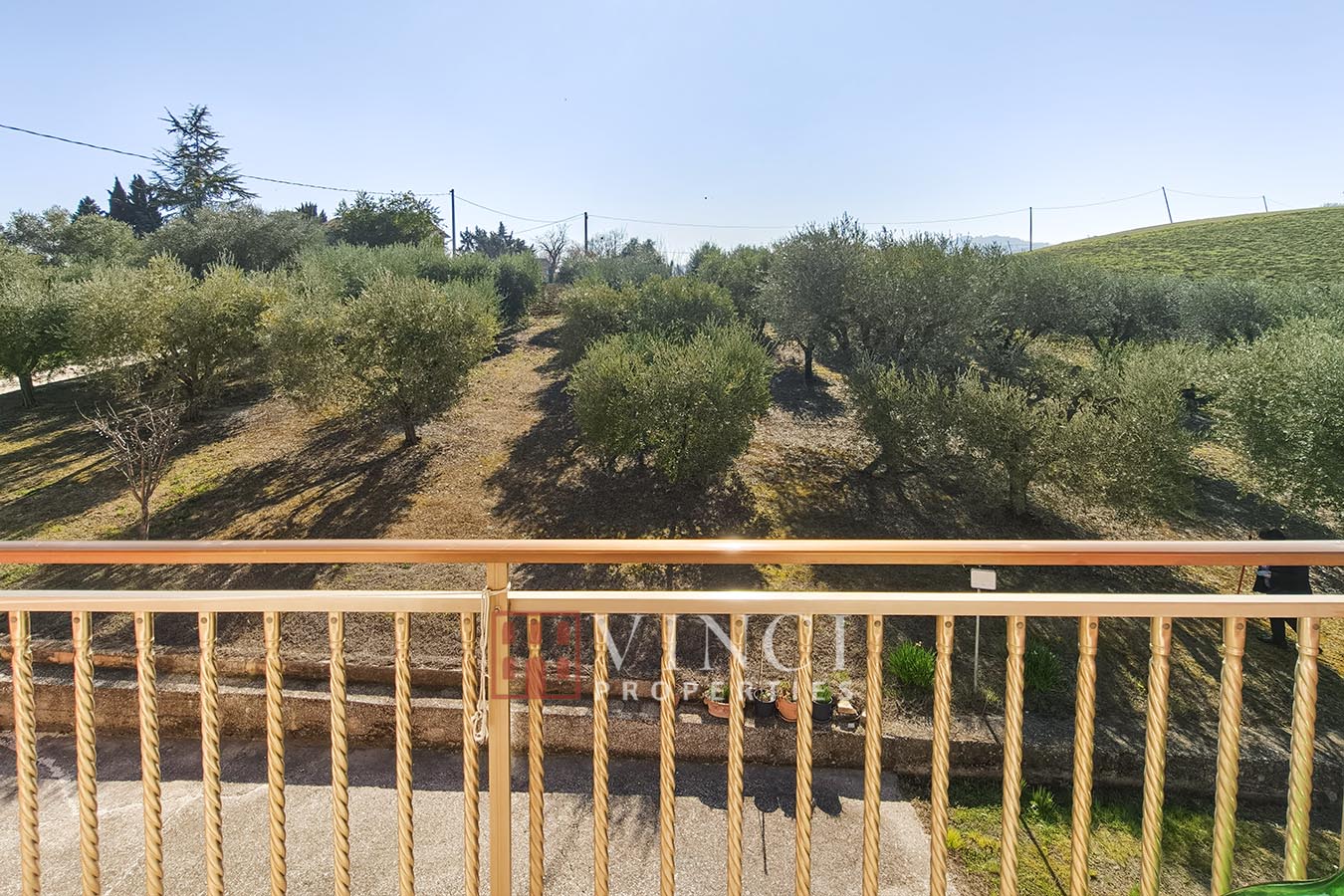 Casa Olivi