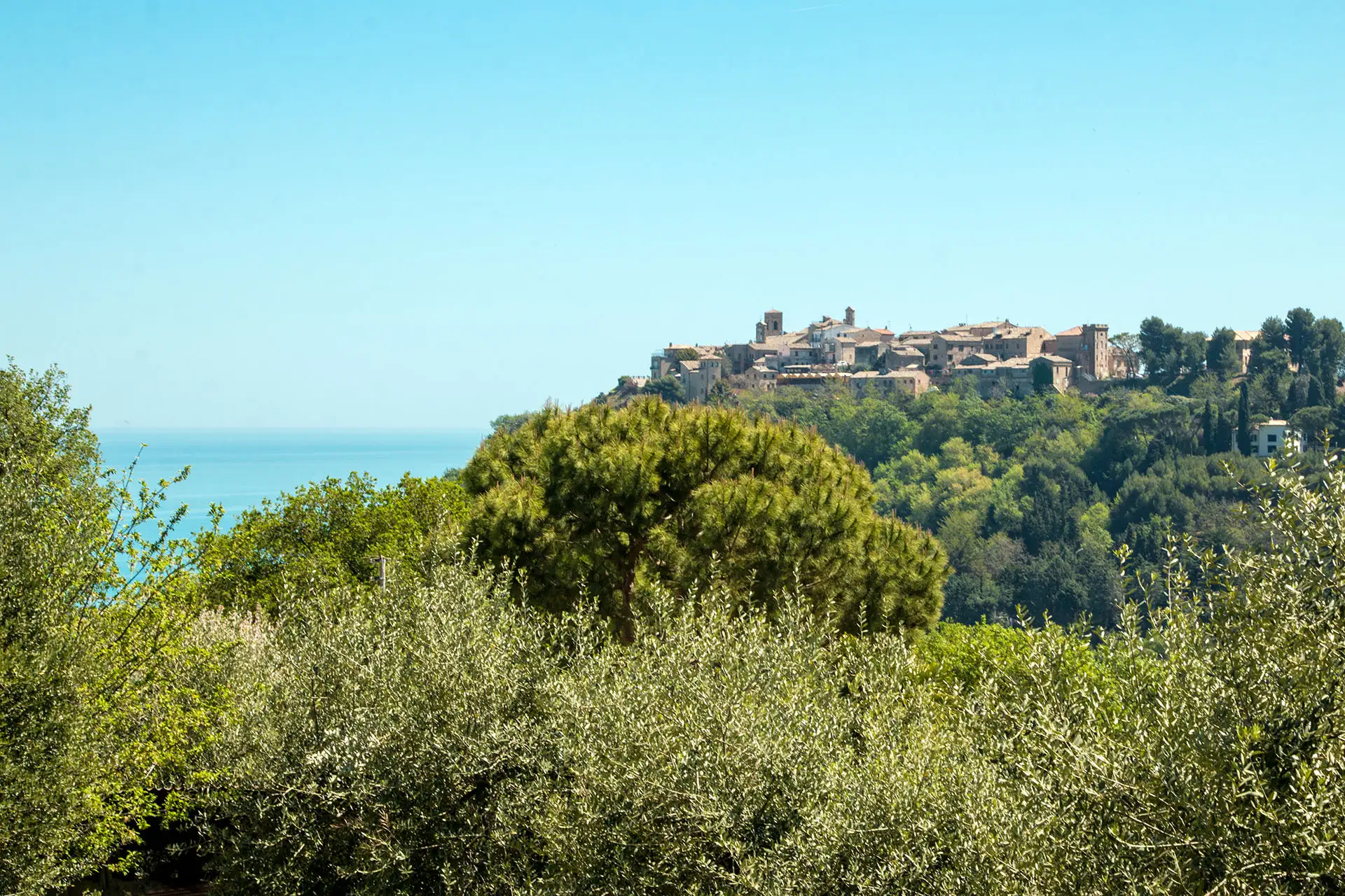 Castello Marche